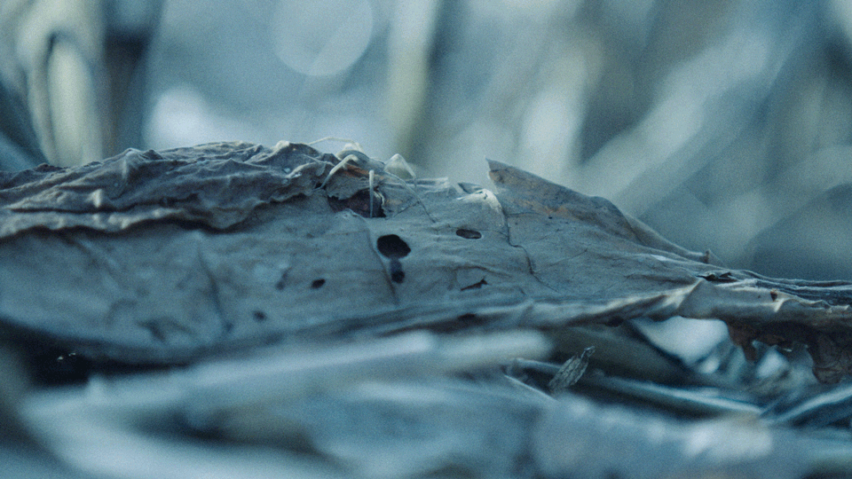 Untitled-17_2.gif