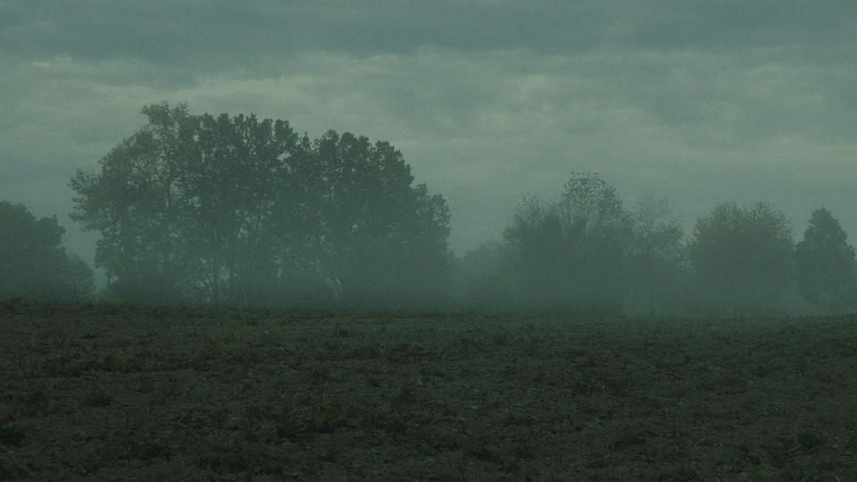 Untitled-4.gif