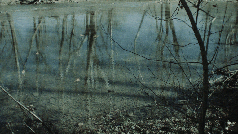 Untitled-9.gif