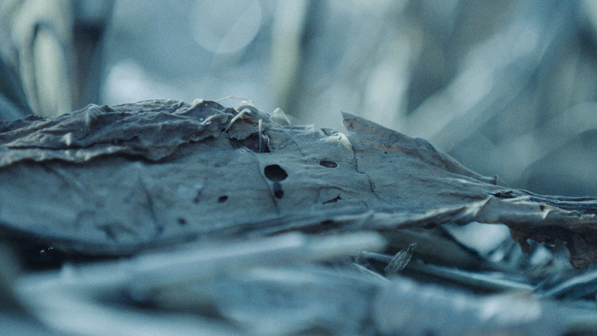 Untitled-17.gif