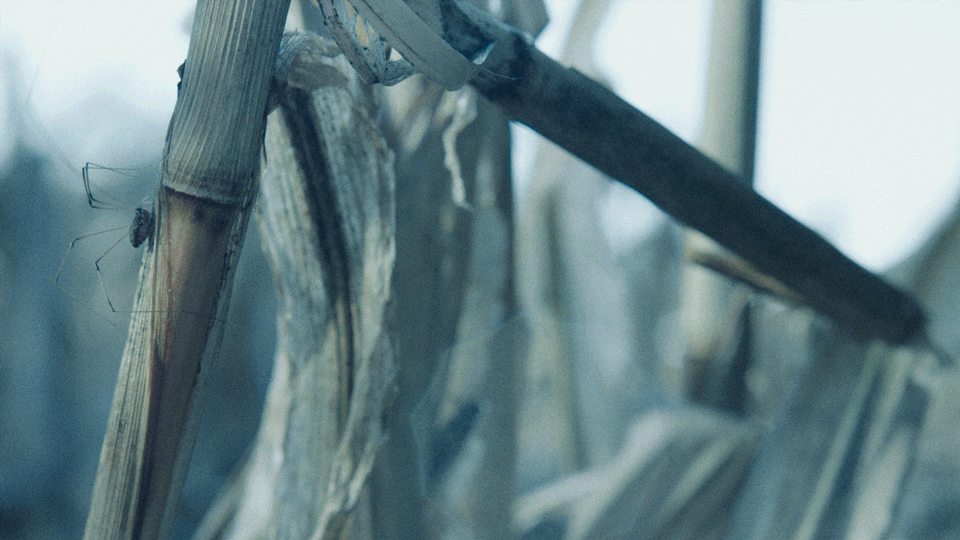 Untitled-5.gif