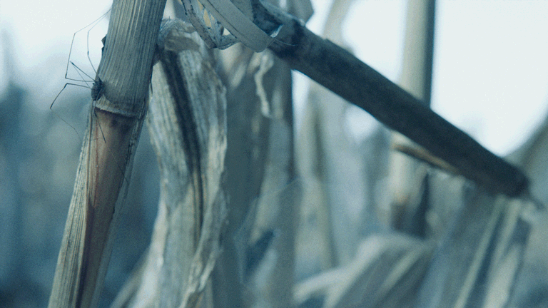 Untitled-3.gif