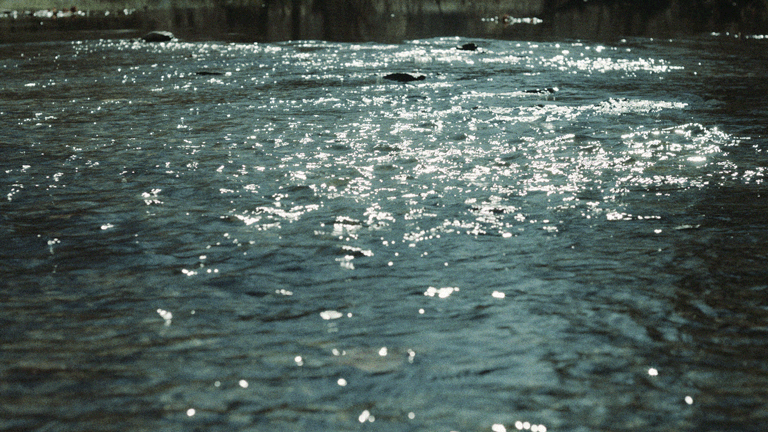 Untitled-11.gif