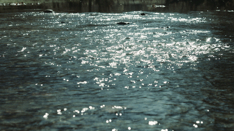 Untitled-10.gif