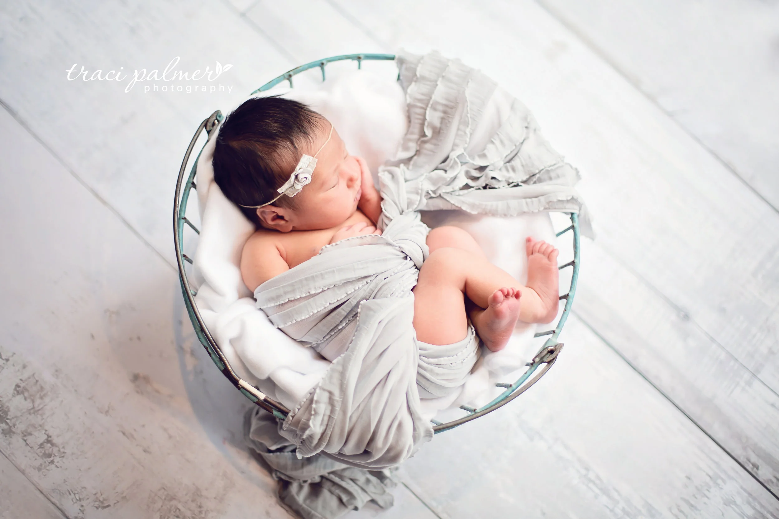 jeanine-8596ptSITE.jpg