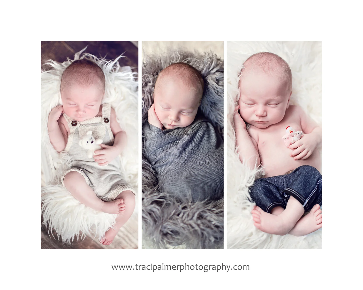 5x7 Box_KatieDalenWEB.JPG