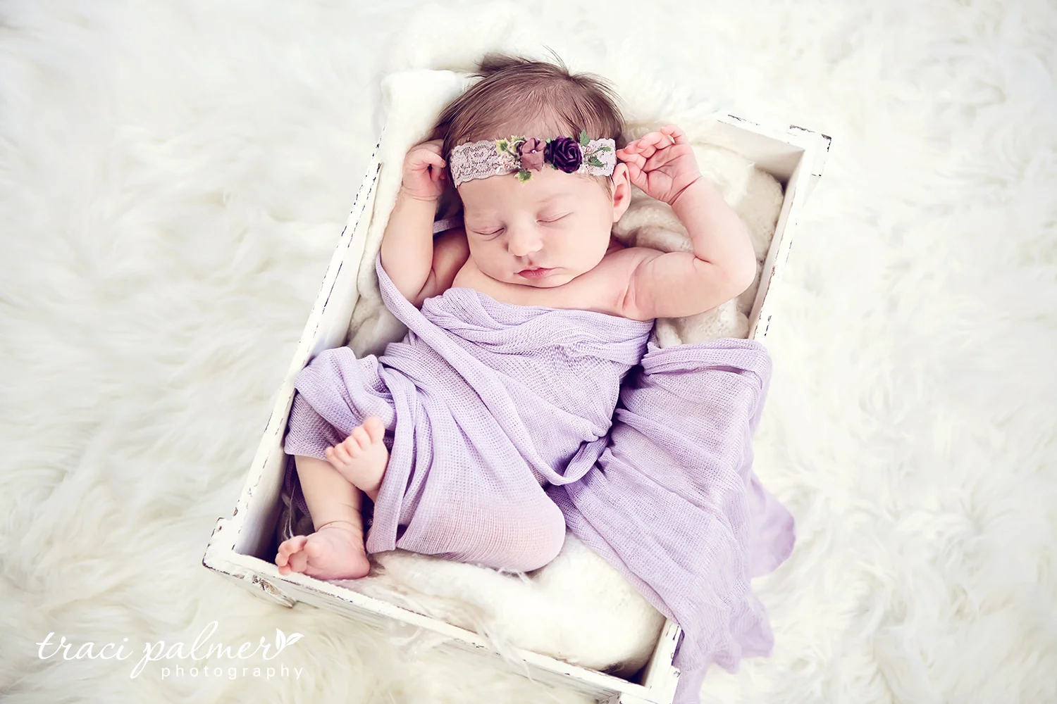 angelaNEWBORN-9249ptWEB.JPG