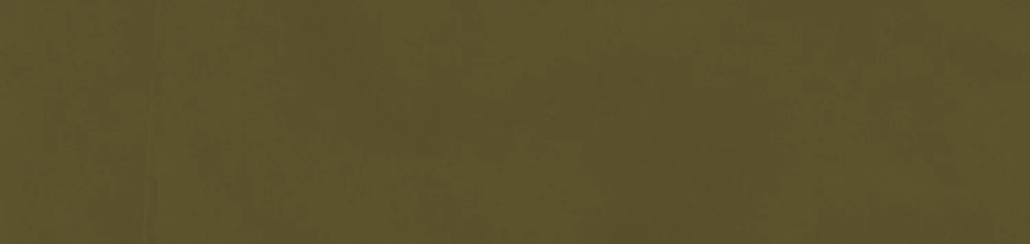 olive-surplus.webp