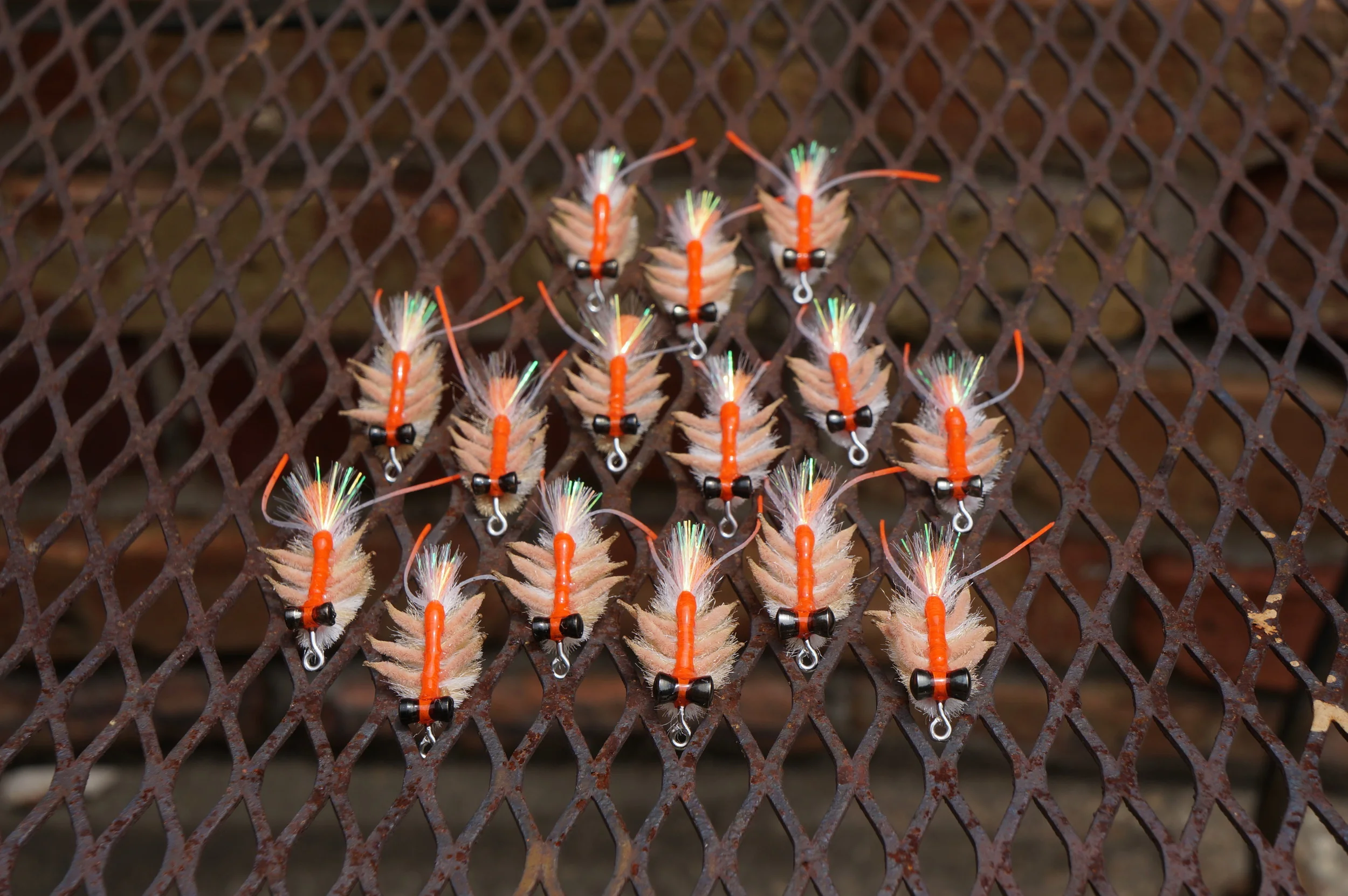 Some Vlahos' Marbled Sand Fleas tanning to get a full cure.