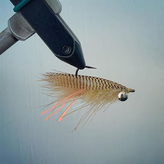 Mallard Flank Sandfleas for California Corbina.
.
.
.
#flyfishing #flytying