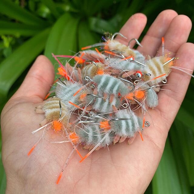 Had to rush these to the post office before it closed, so here&rsquo;s a picture of a handful of sandfleas and a plant. Shipped off to California and Texas.
.
.
.
#flyfishing #flytying
