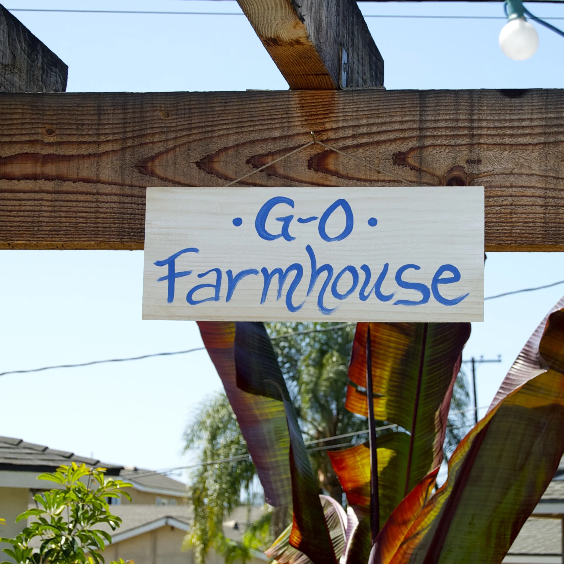 Farm Fresh - 42.jpg