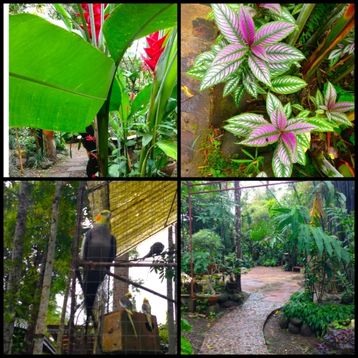 garden final.jpg