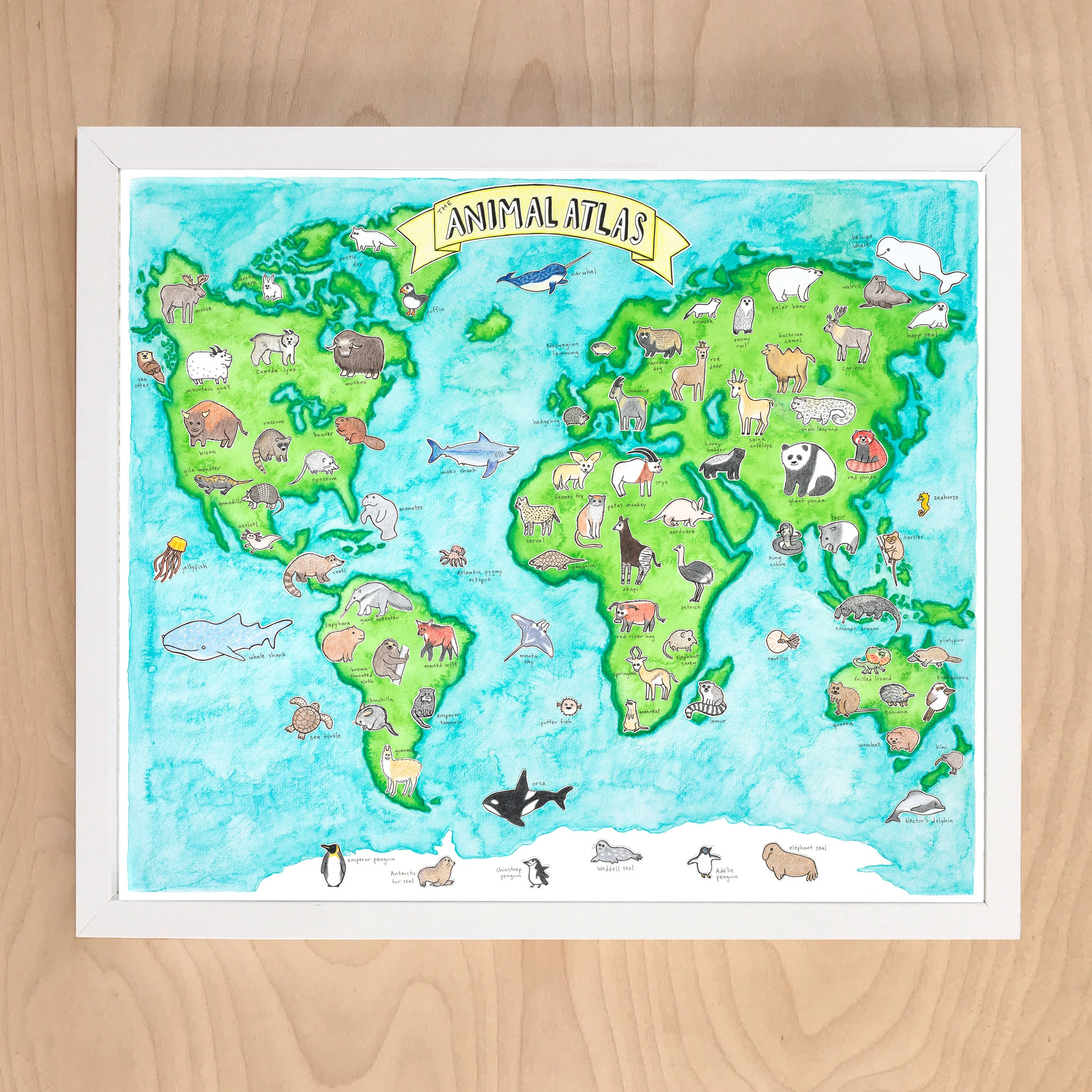 Animal Atlas 20x24.jpg