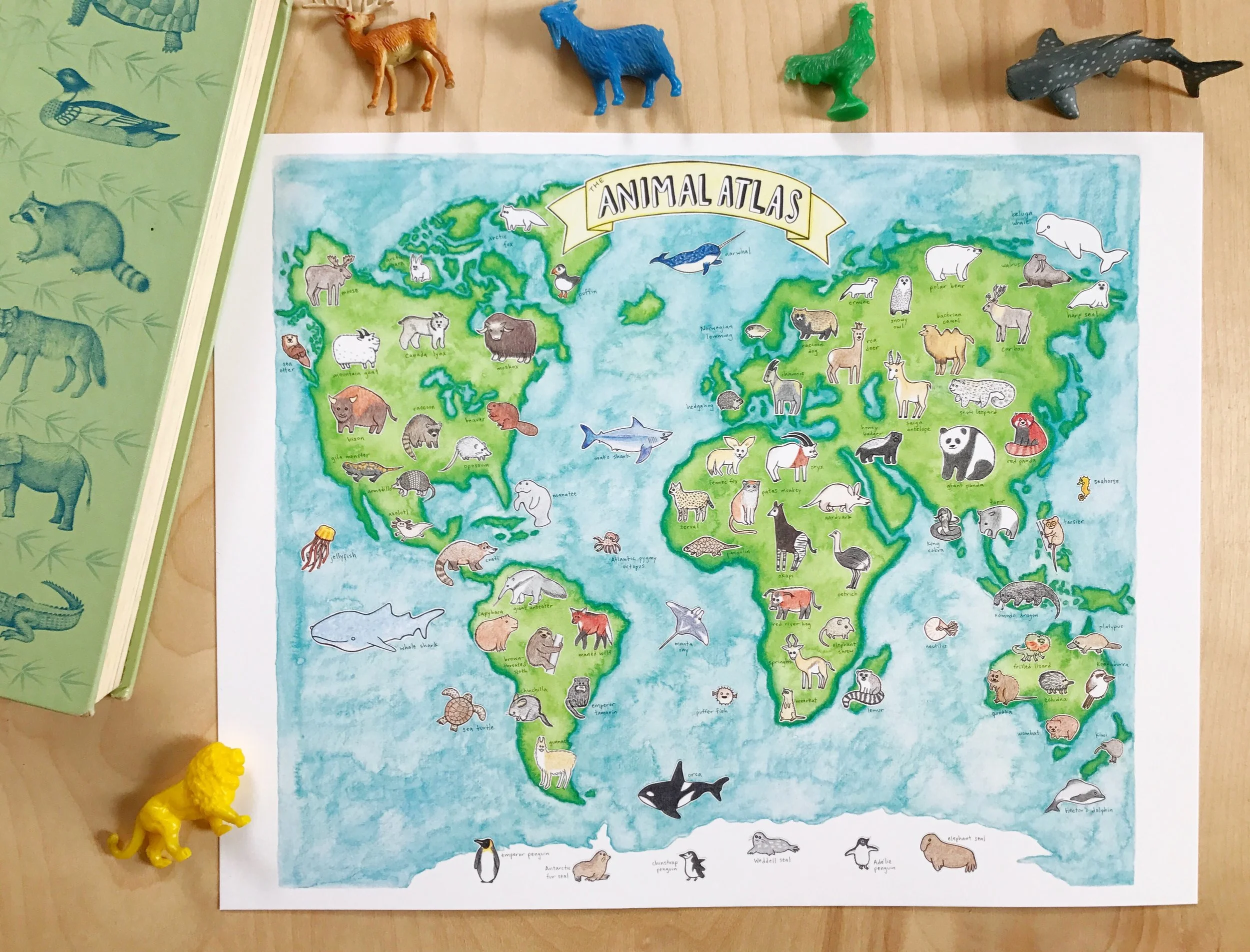 Animal Atlas 11x14.jpg