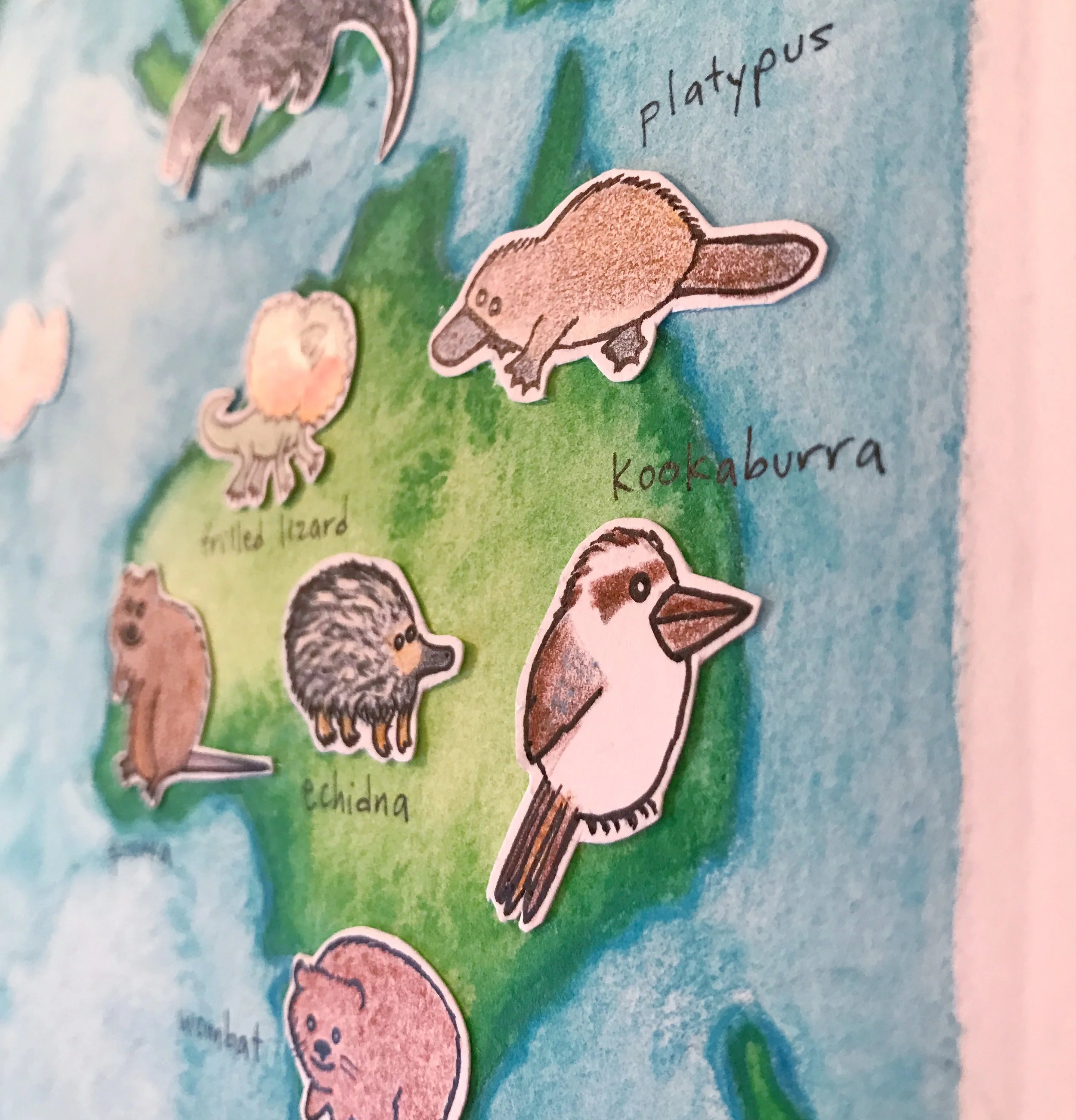 Animal Atlas Kookaburra.jpg