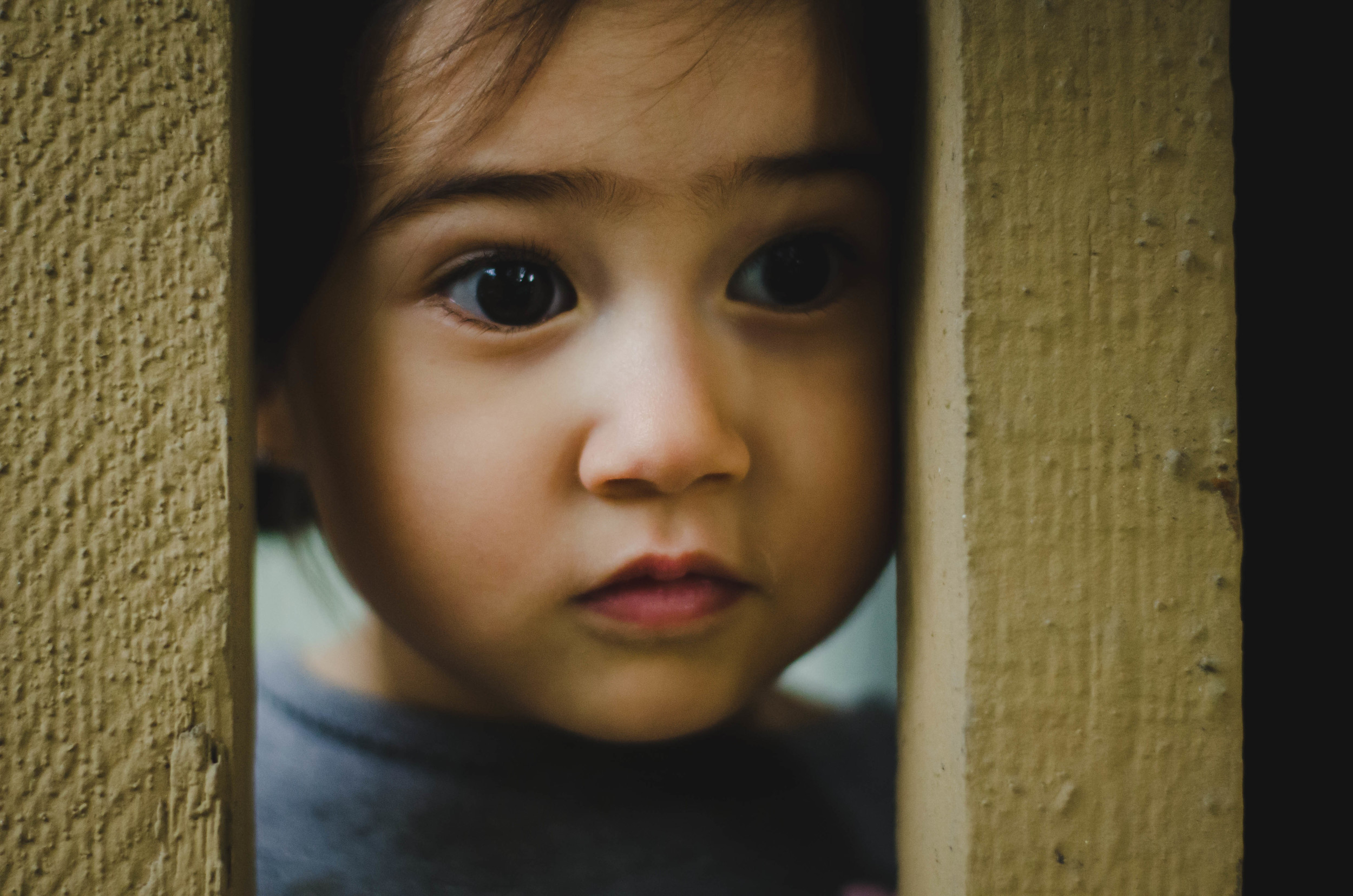 Michelle looking through fence.jpg