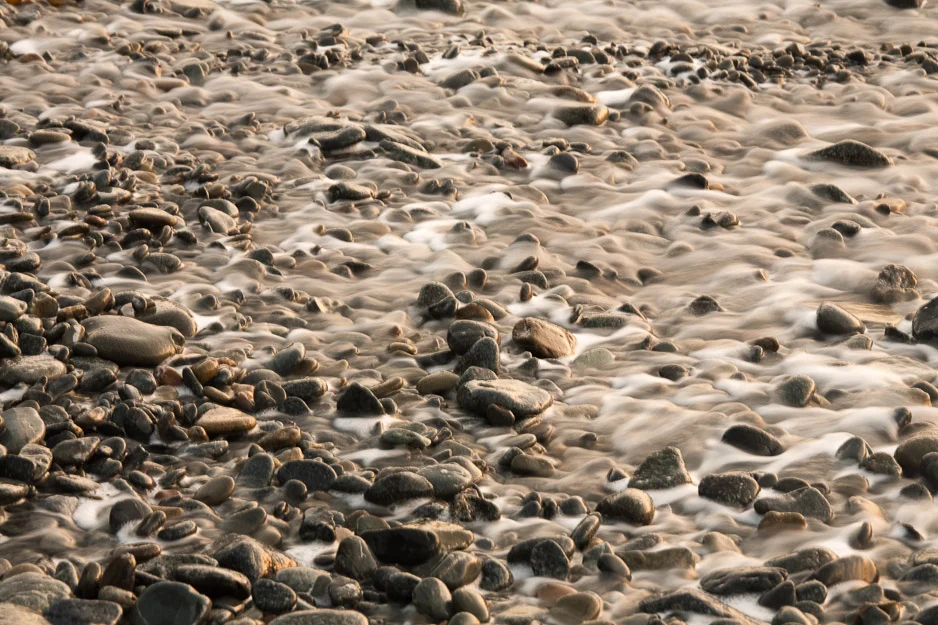 Nature - JASON SPETH-4.jpg