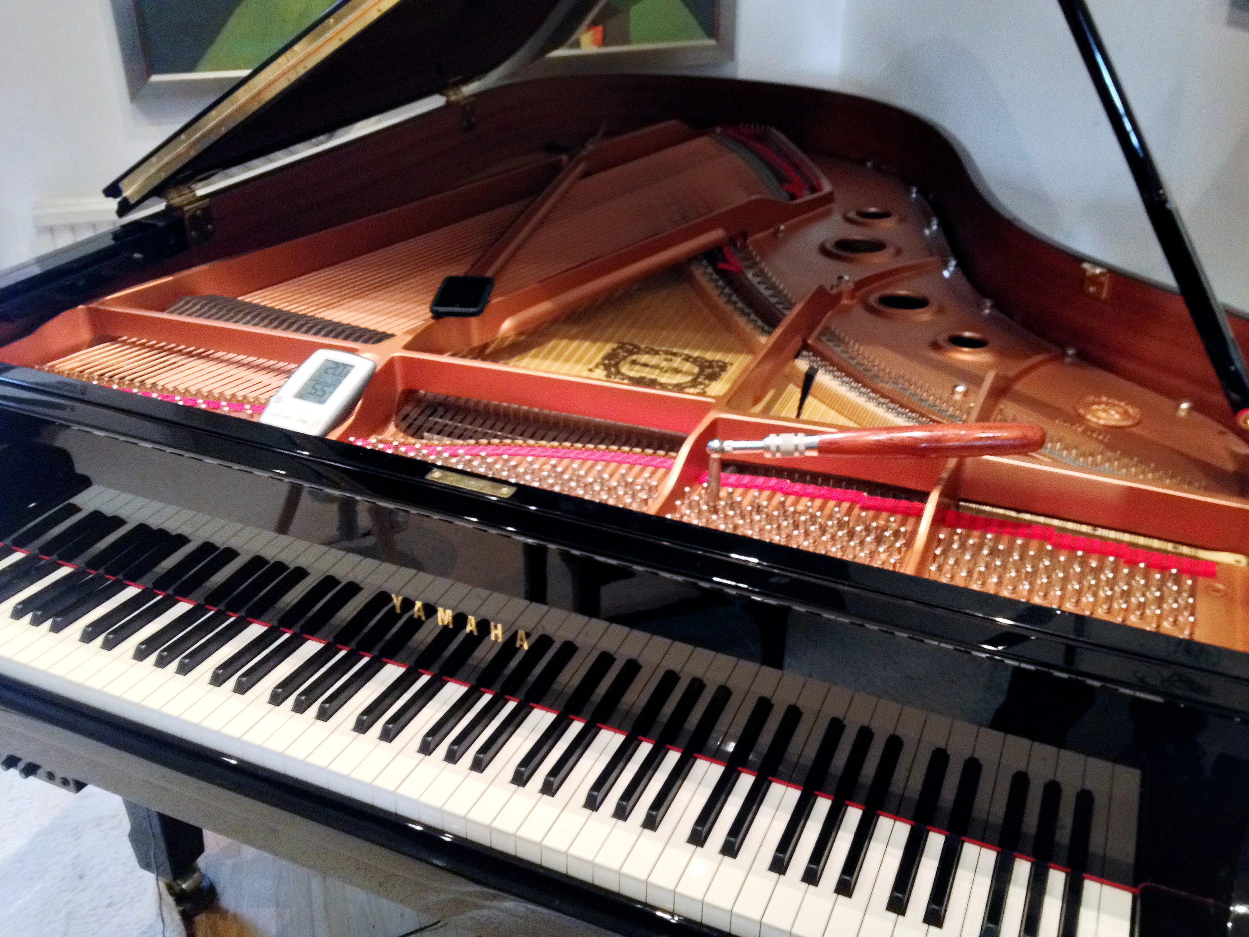 Yamaha Silent Grand Piano