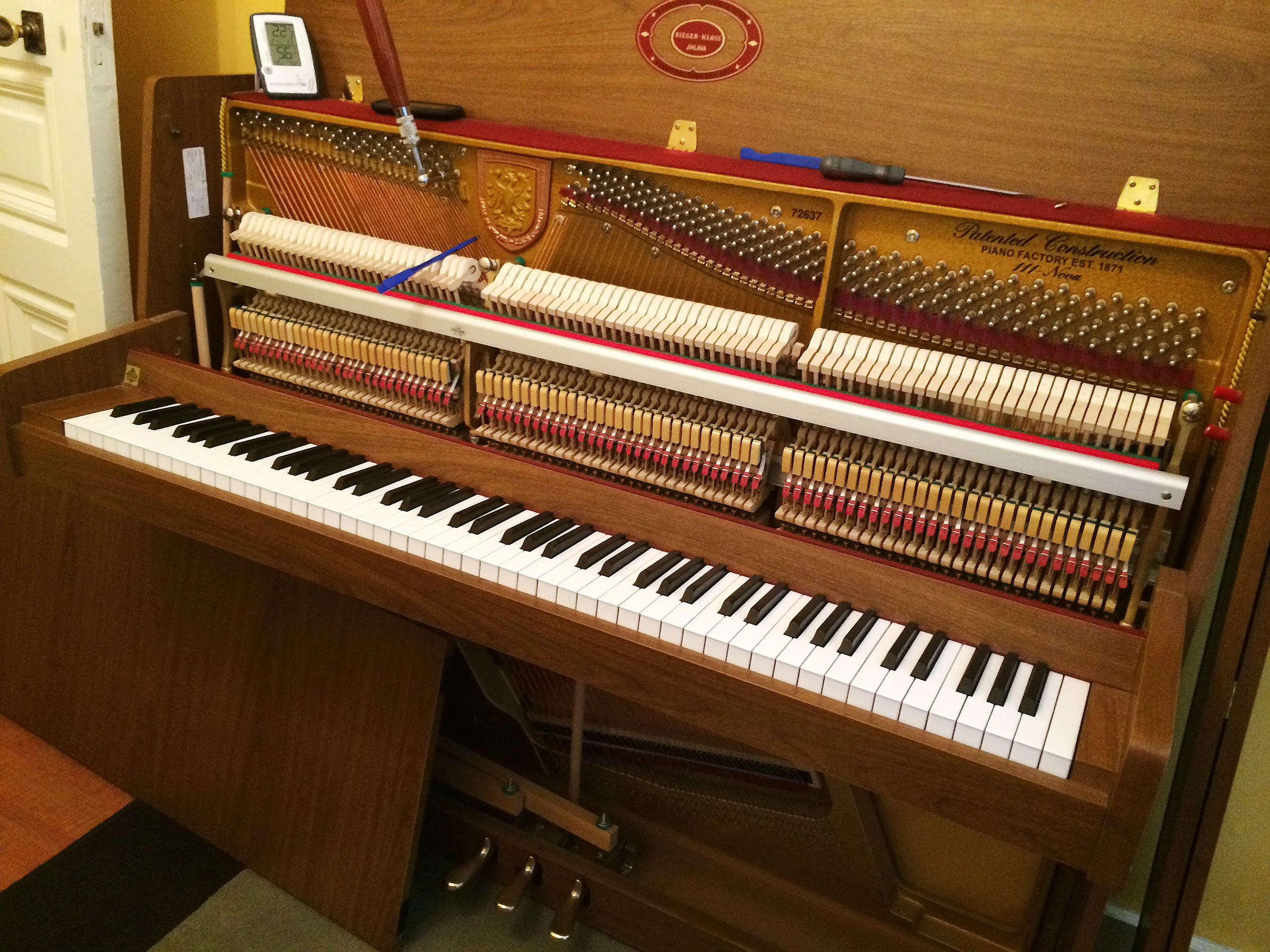 Rieger-Kloss Piano