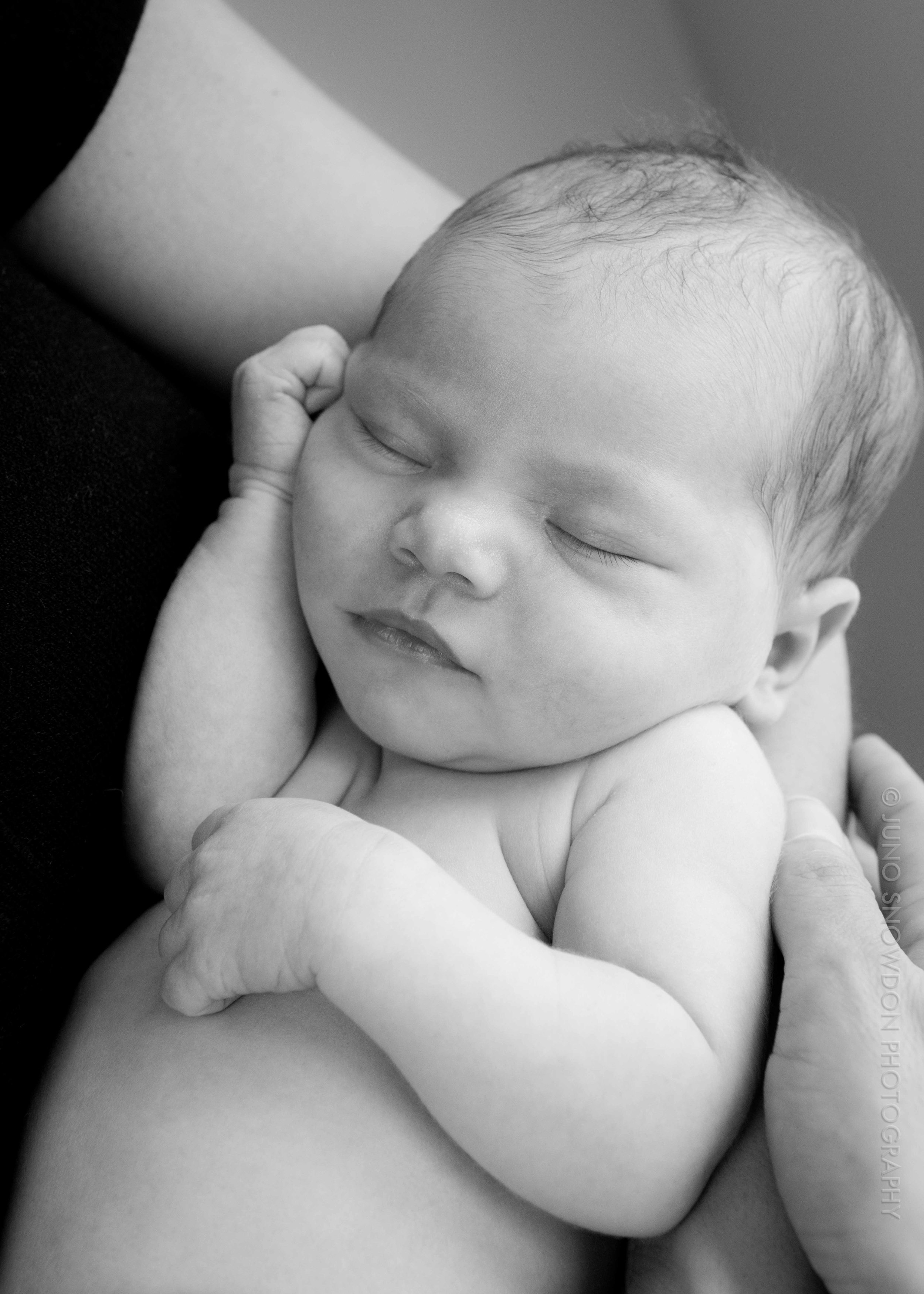 juno-snowdon-photography-newborn-portrait-7196.jpg