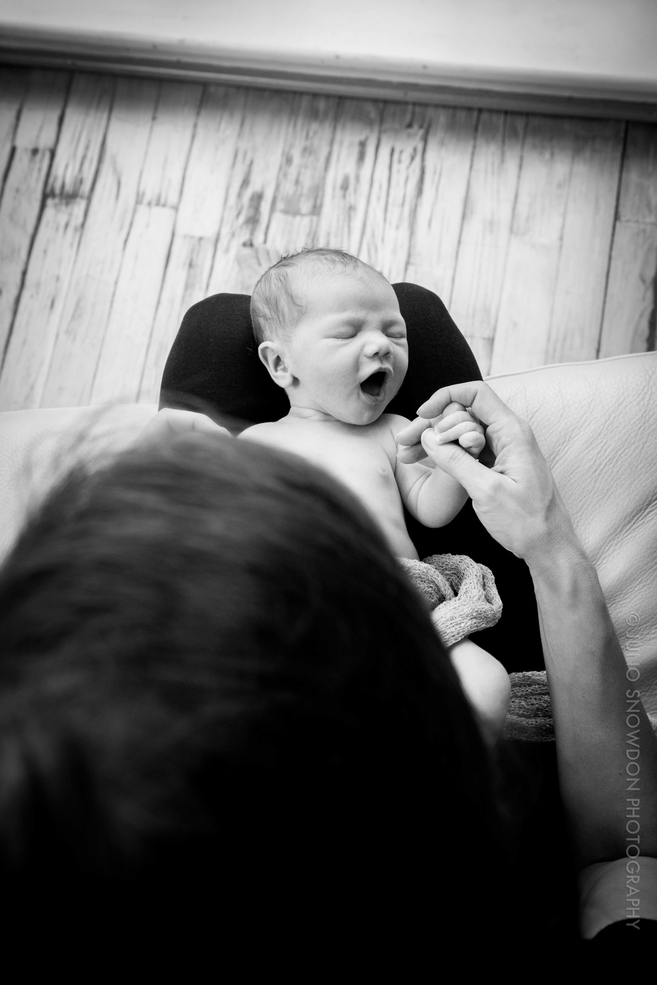 juno-snowdon-photography-newborn-portrait-7218.jpg