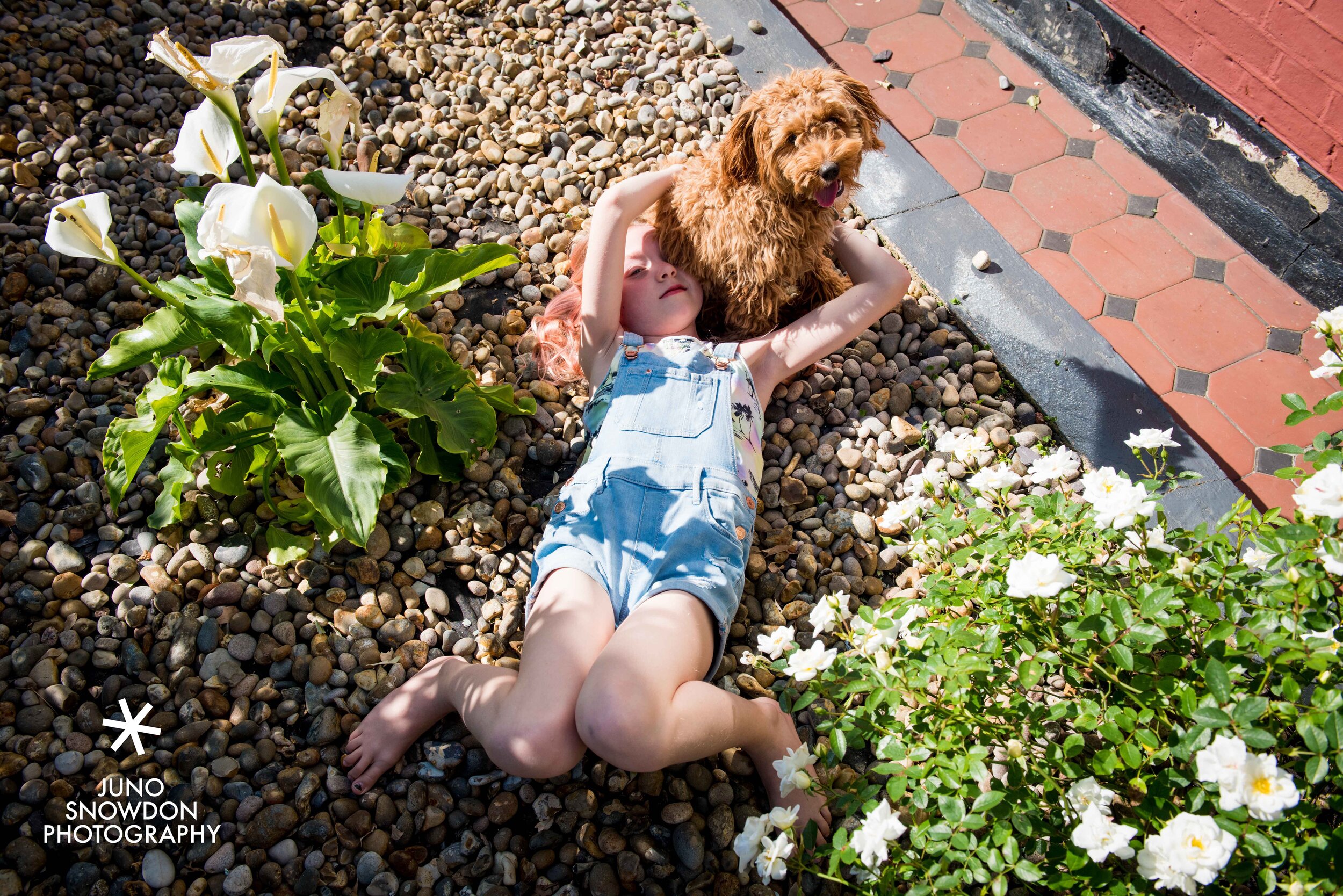 juno-snowdon-photography-doorstep-portraits-8386.jpeg