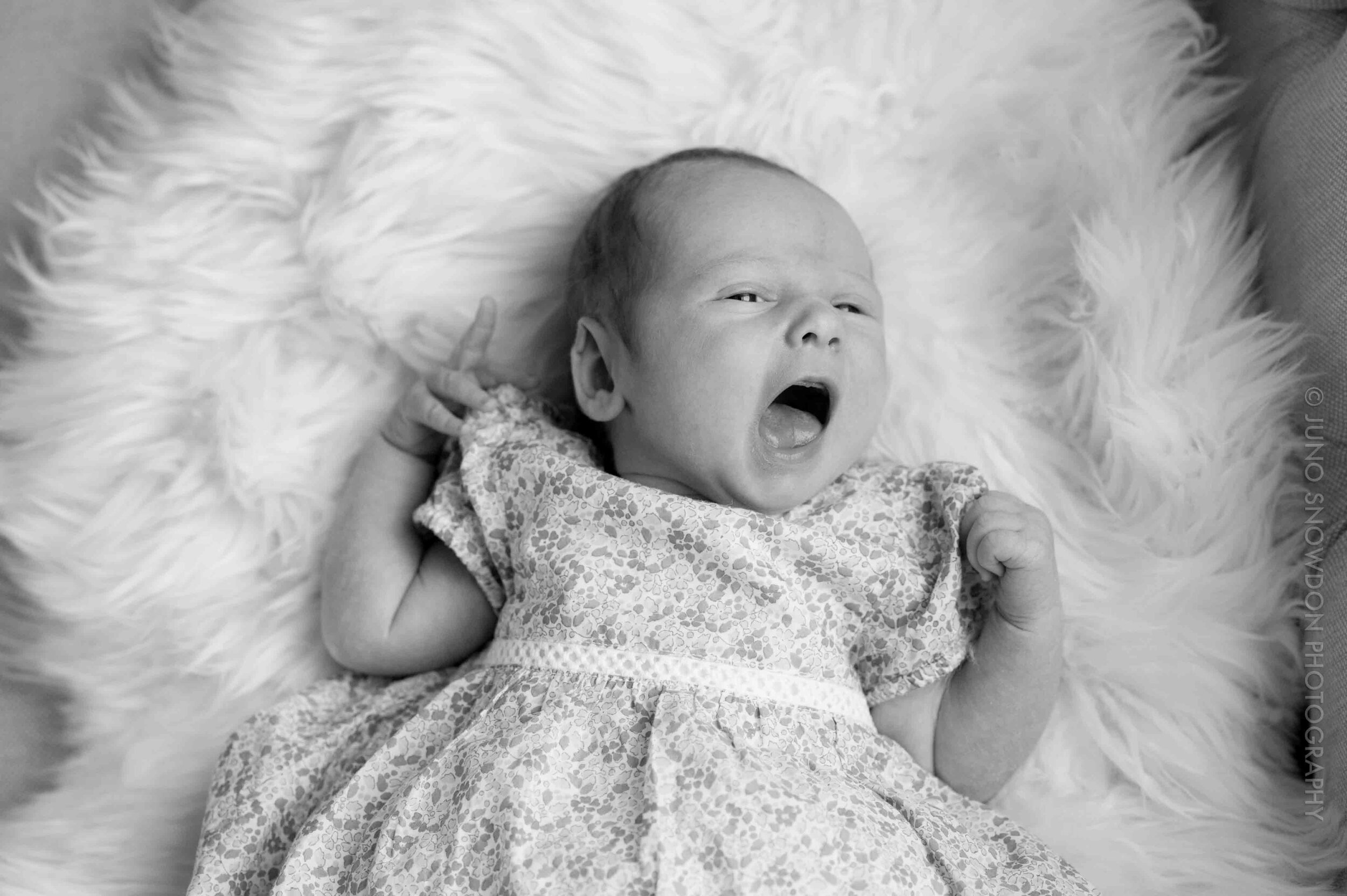 juno-snowdon-photography-newborn-family-portraits-london-2242.jpg
