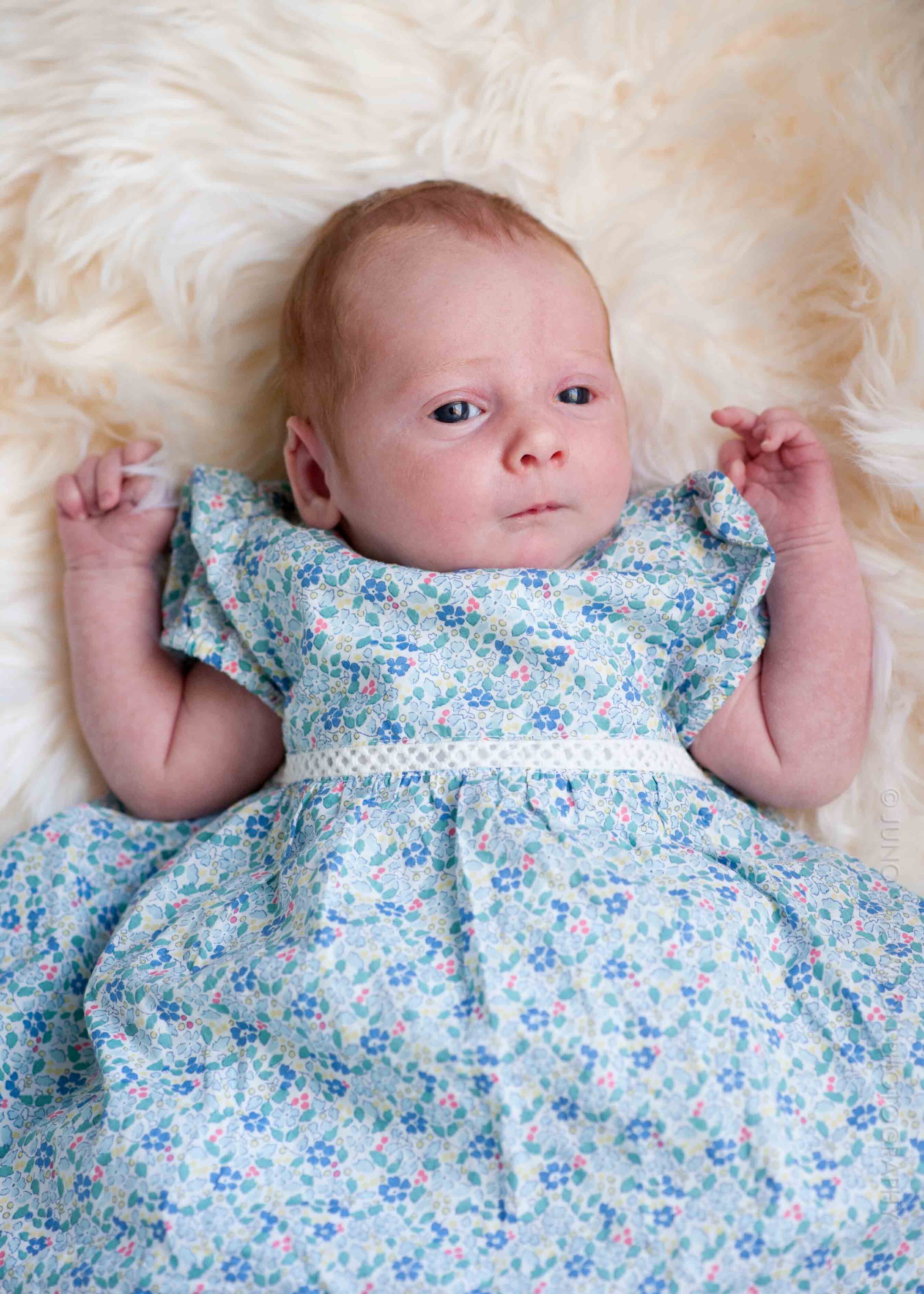 juno-snowdon-photography-newborn-family-portraits-london-2252.jpg