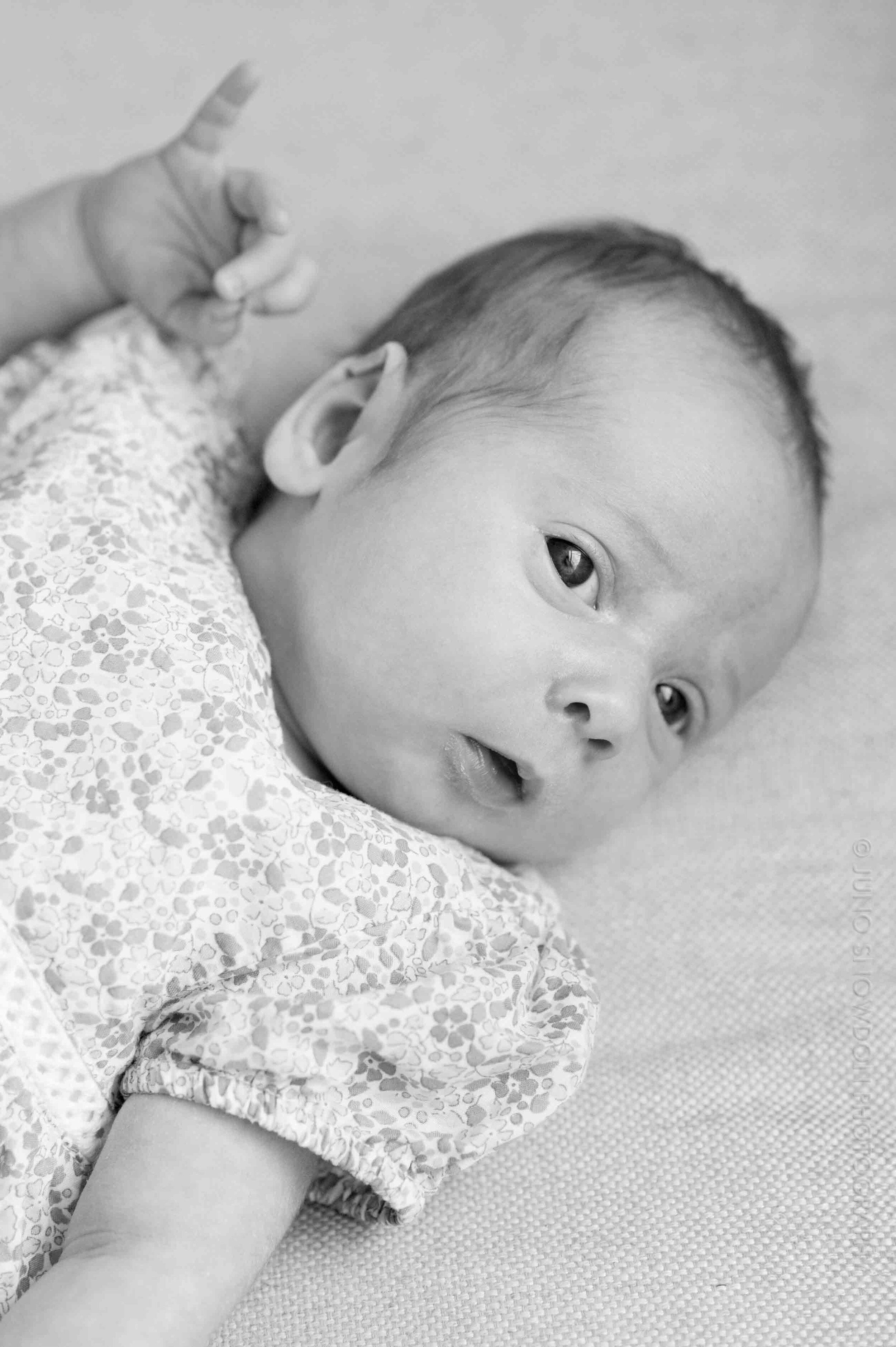 juno-snowdon-photography-newborn-family-portraits-london-2276.jpg