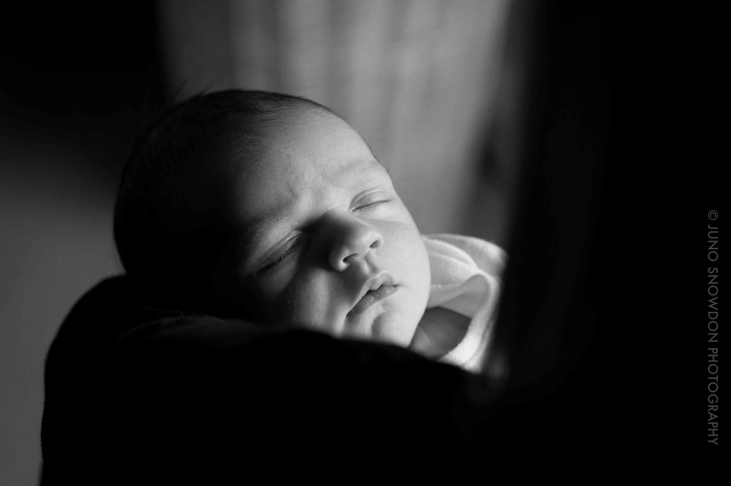 juno-snowdon-photography-newborn-family-portraits-london-1833.jpg