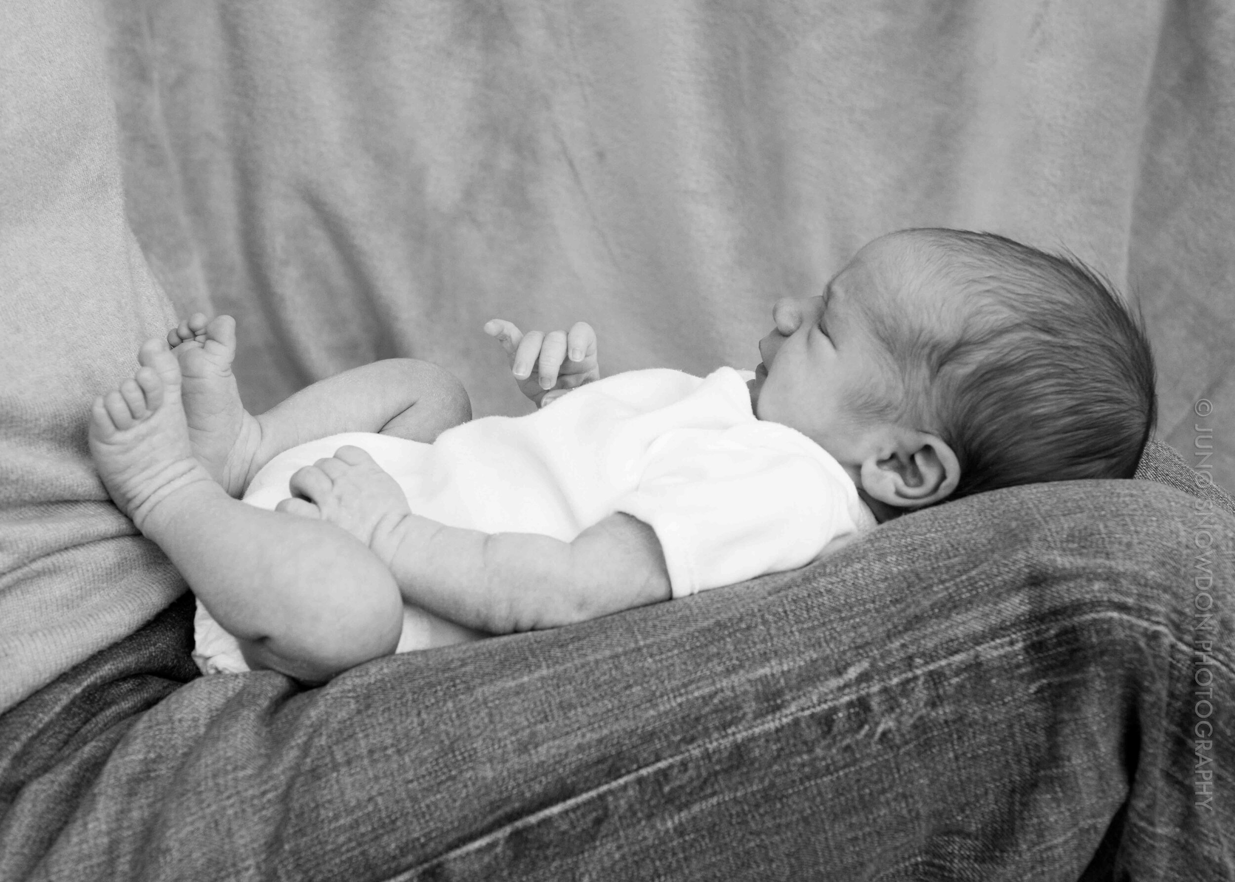 juno-snowdon-photography-newborn-family-portraits-london-3296.jpg