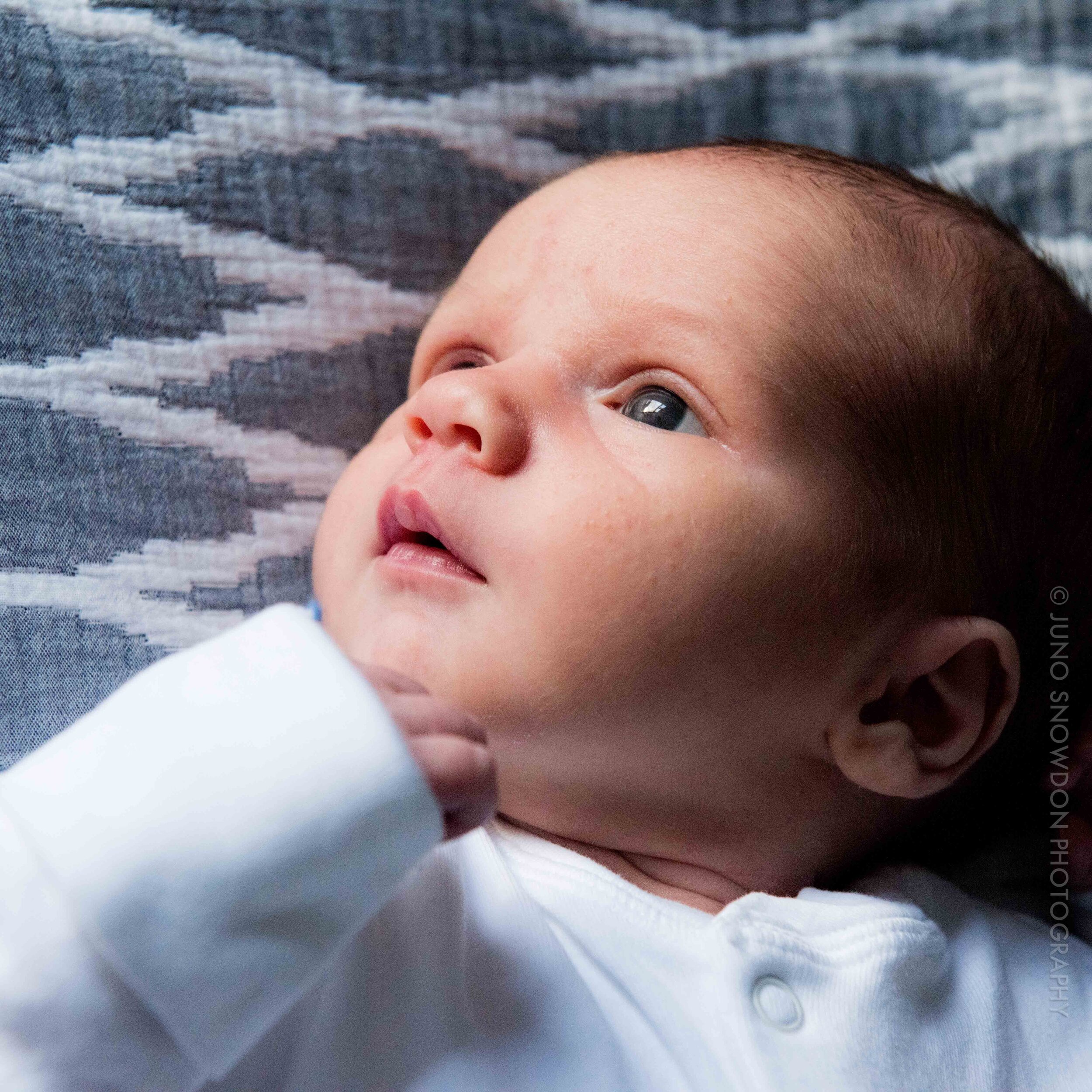 juno-snowdon-photography-newborn-family-portraits-london-3386.jpg