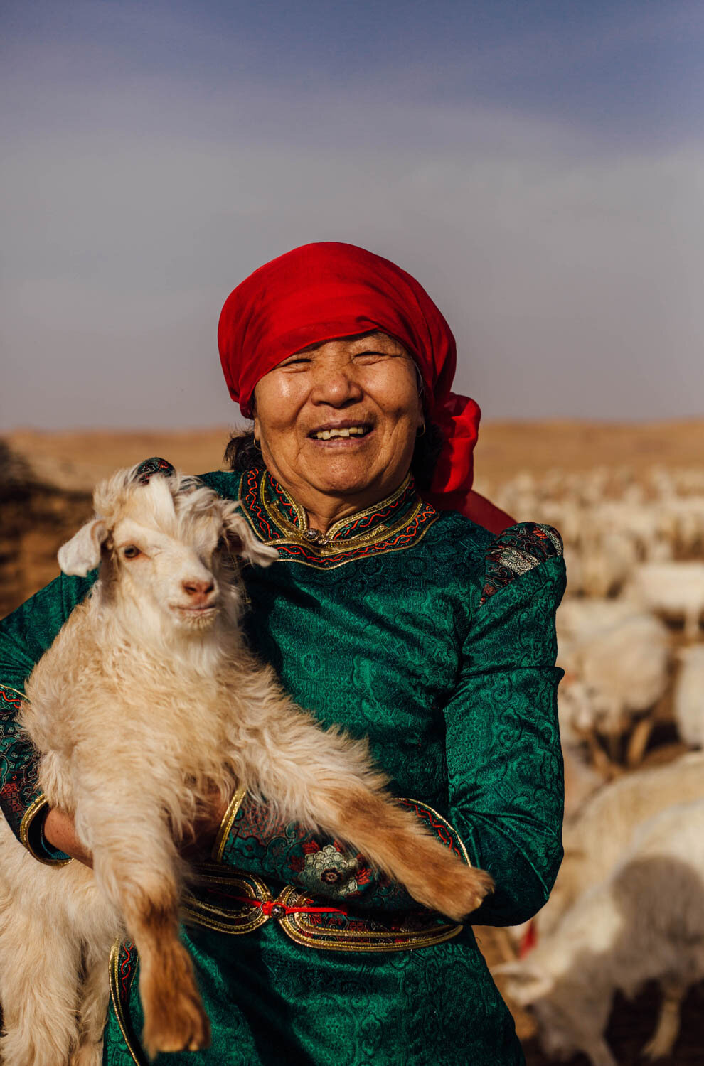 The journey of cashmere, Mongolia 2019