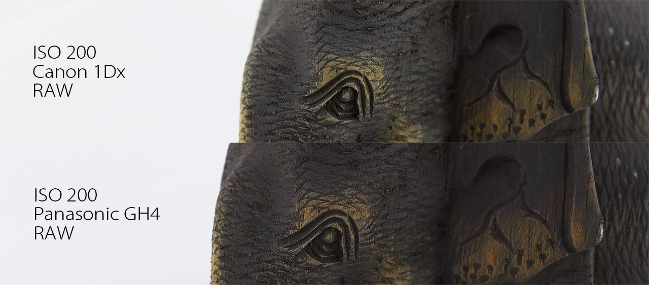 ISO 200 GH4 vs 1Dx (Straight out of camera)