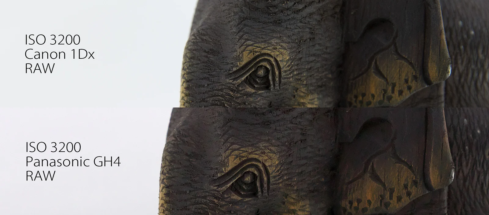 ISO 3200 GH4 vs 1Dx (Sharpened + shadow correction)