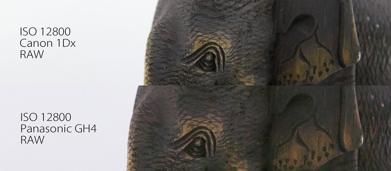 ISO 12800 GH4 vs 1Dx (Straight out of camera)