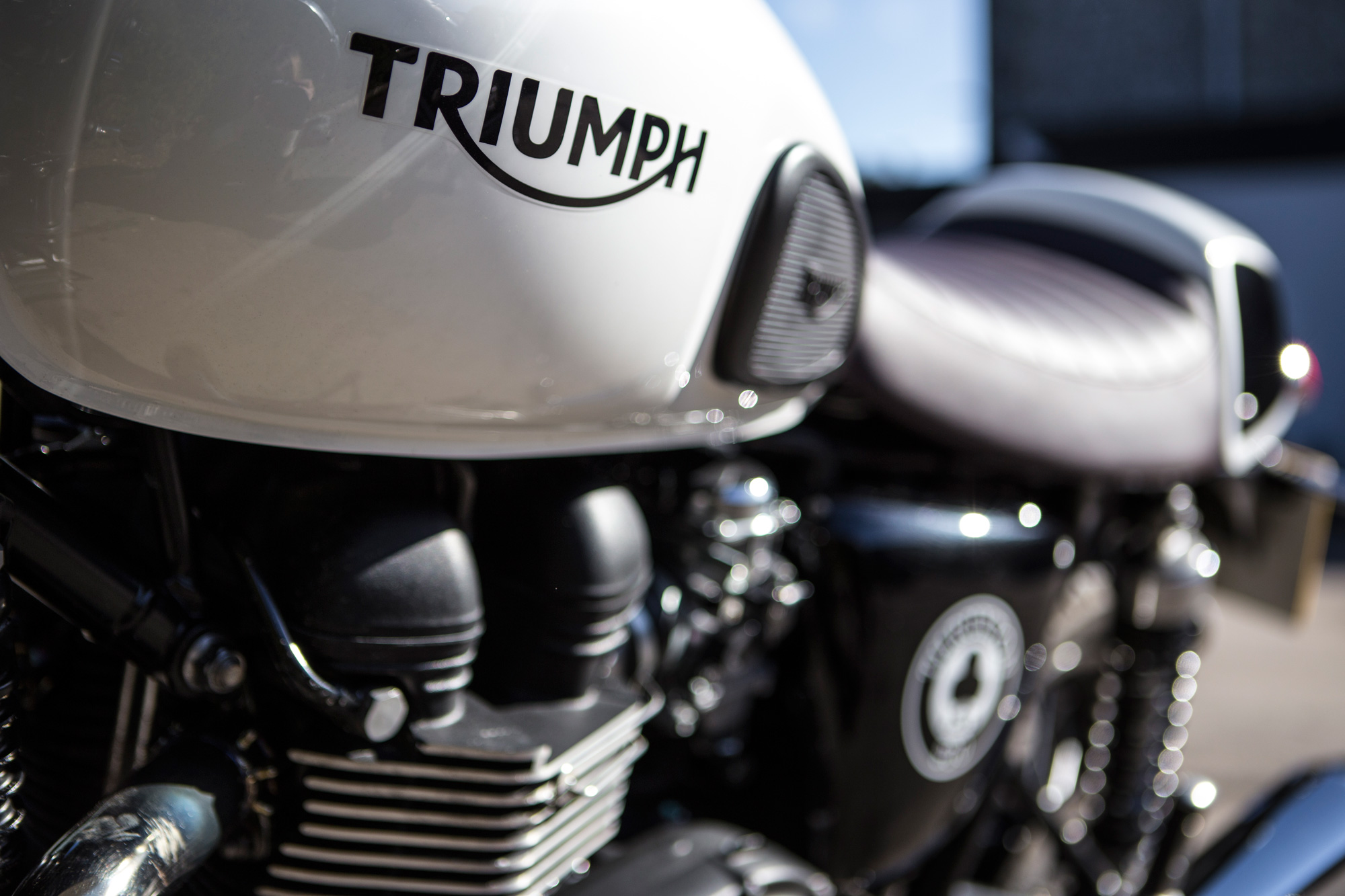 Triumph_NicoleHains_8408.jpg