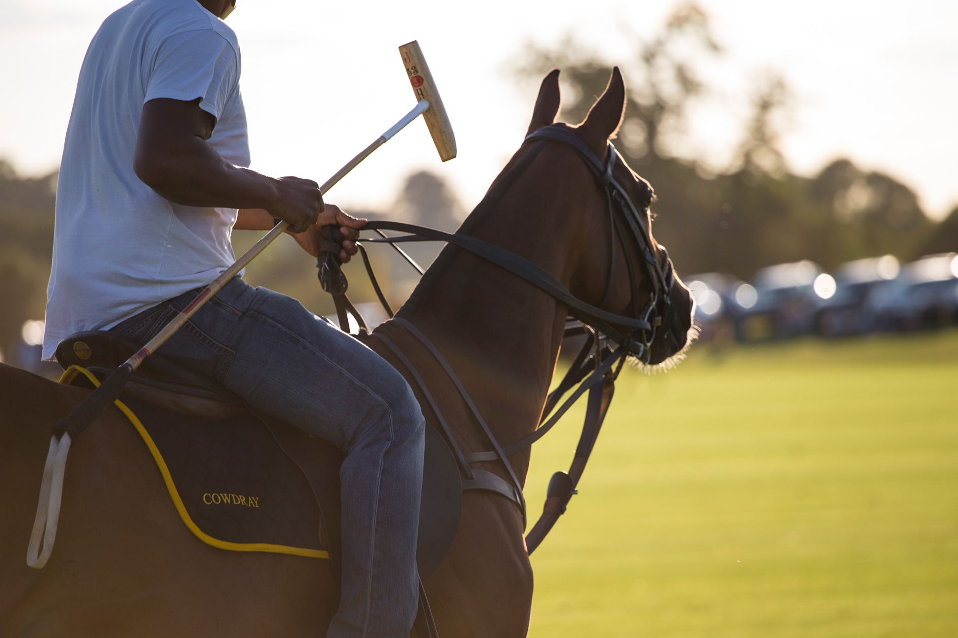 QGF_Polo_NicoleHains-024.jpg