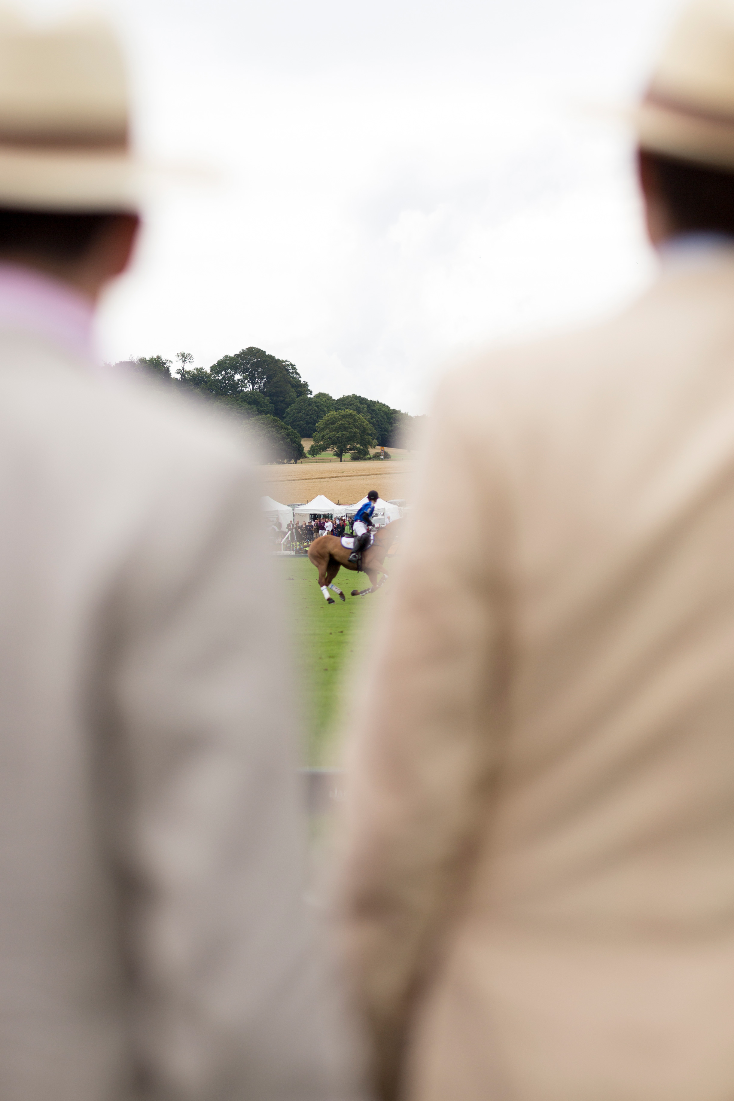 Polo at Cowdray Estate 