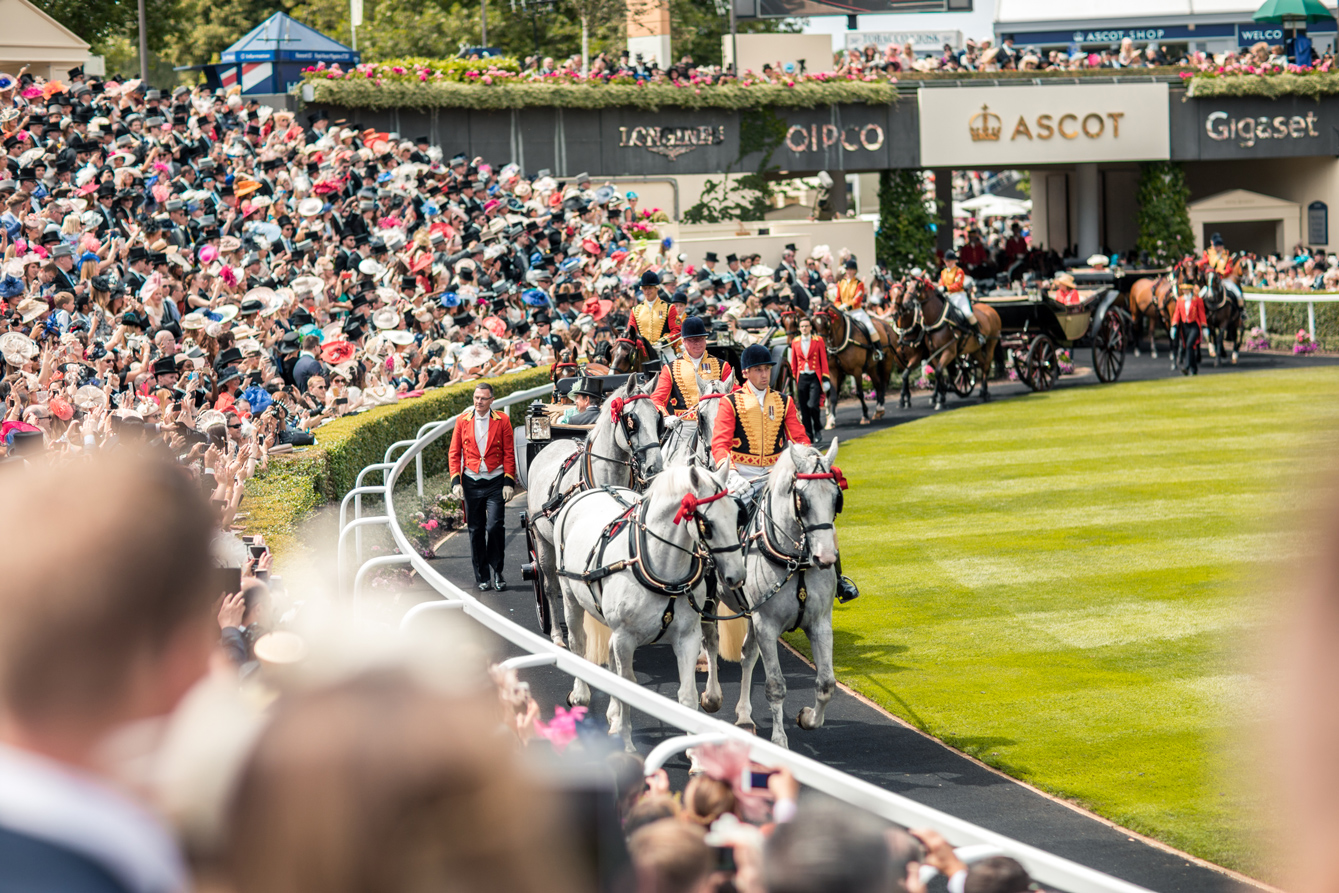 Ascot_NicoleHains_-08356.jpg