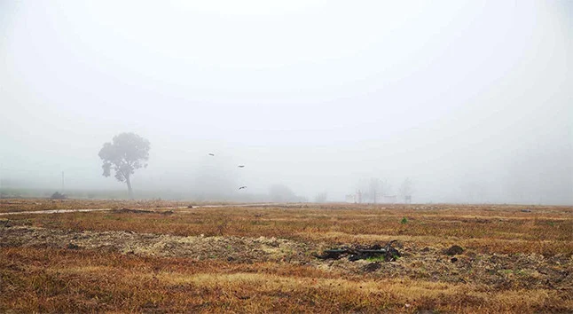 cool-mist-covering-iona.jpg