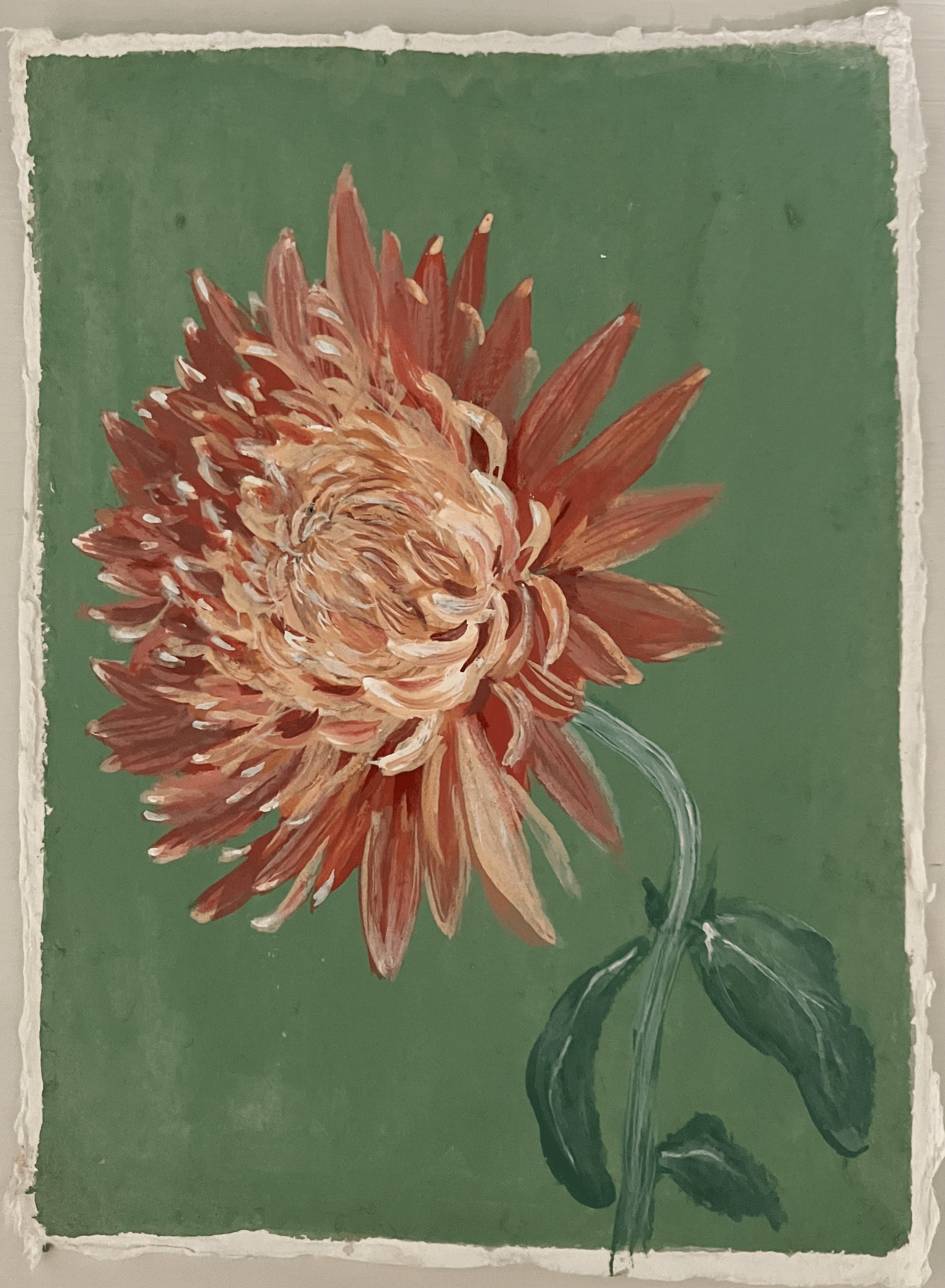 SOLD Chrysanthemum