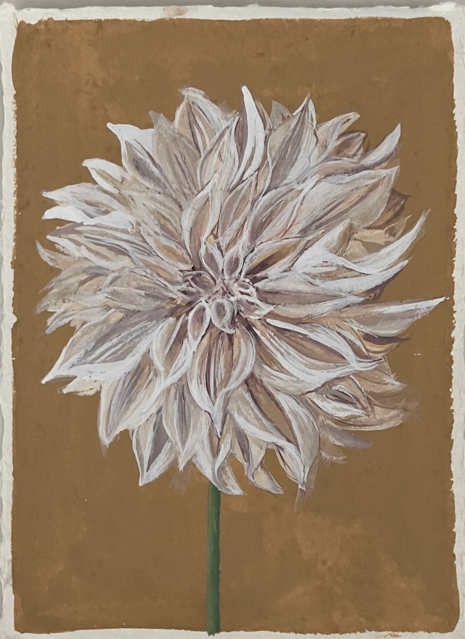 SOLD Dahlia 'Cafe au Lait'