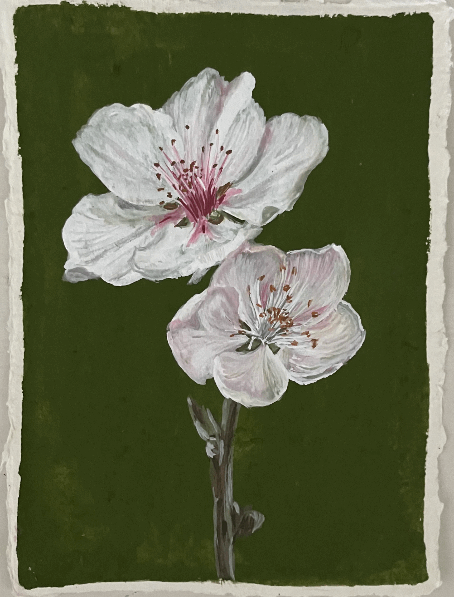 SOLD Almond blossom