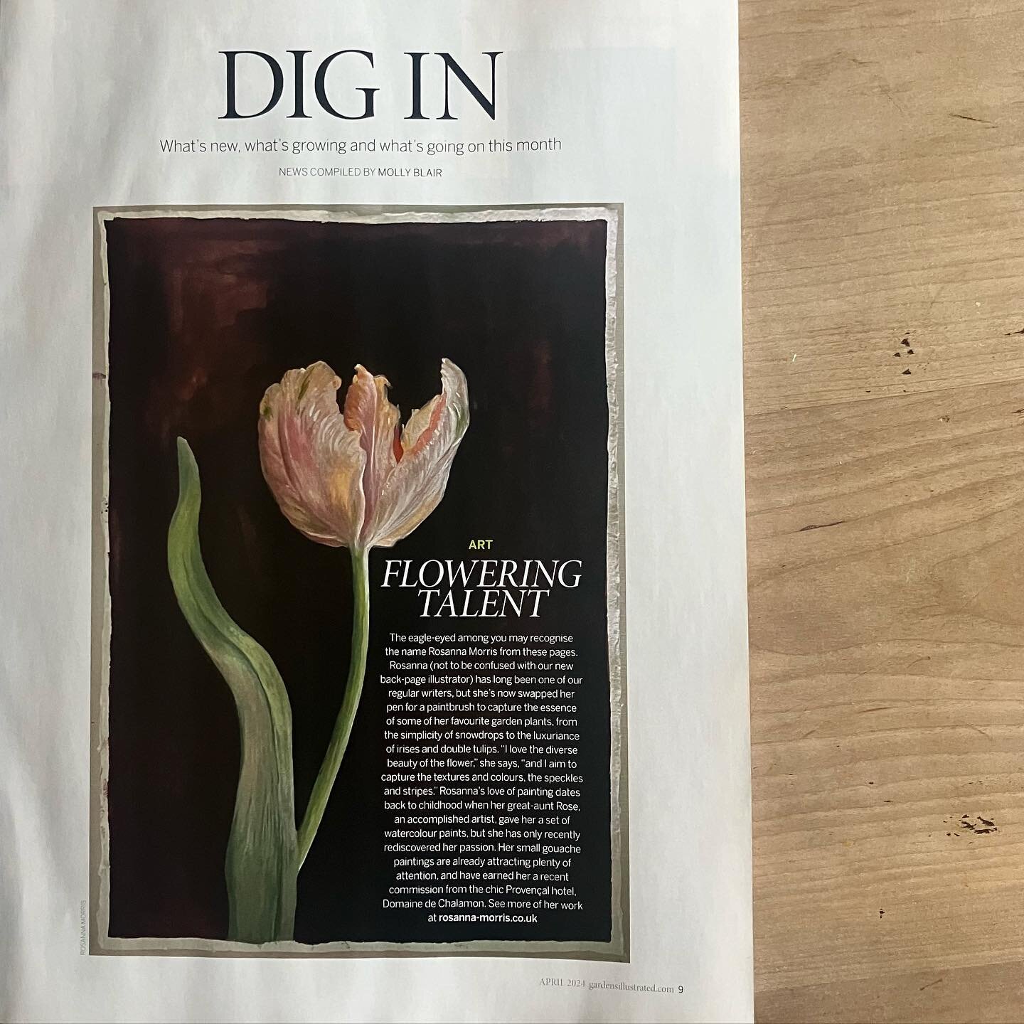 Completely and utterly over the moon to have this wonderful mention about my flower paintings in the April issue of @gardens_illustrated - thank you so much @planted_earth_ @hortihack @niki.goss @gilesjuliet 🤎