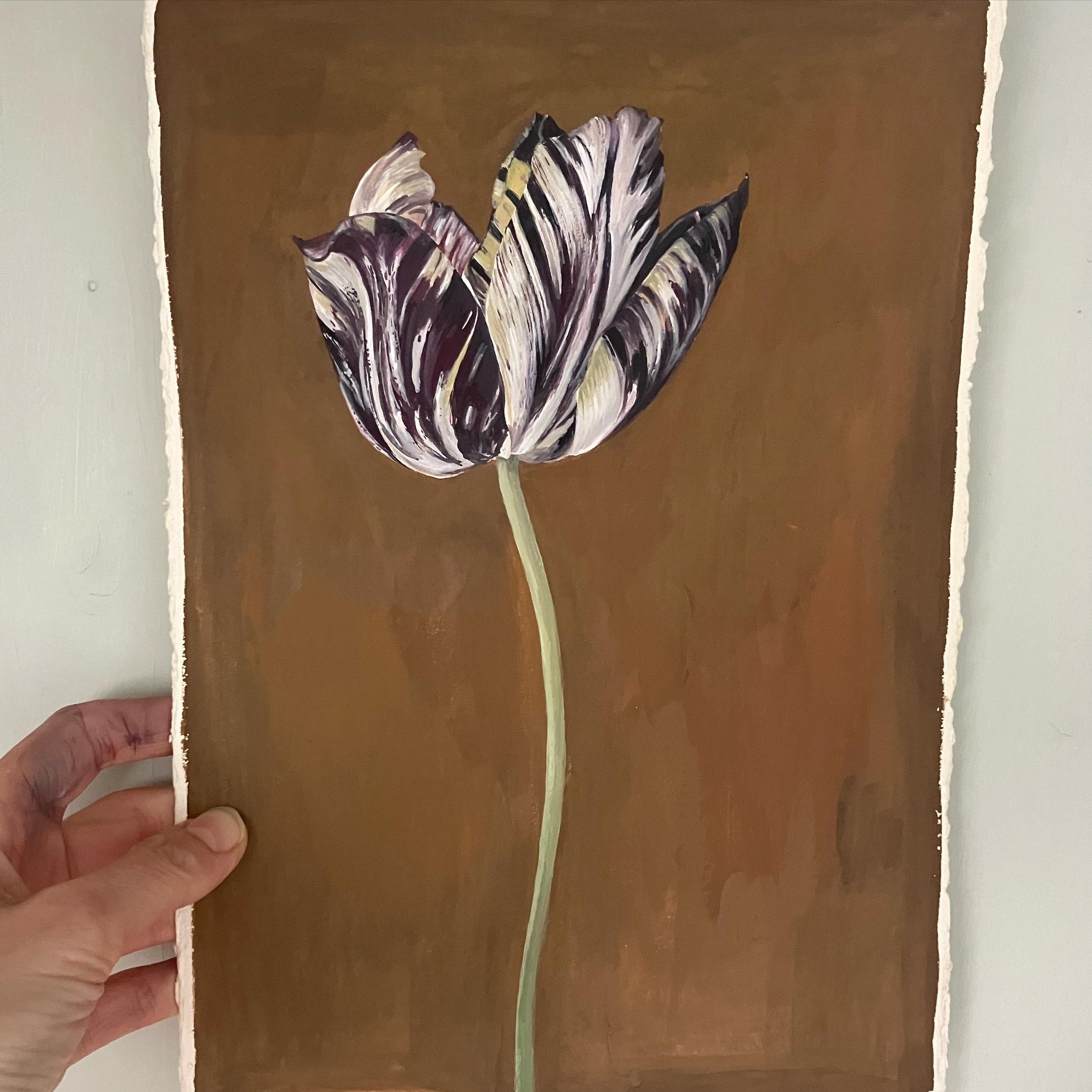 Tulip &lsquo;Insulinde&rsquo;

It has been such a joy to paint the marbling of this historic tulip from the garden of @bayntunflowers 

#finaltouches #tulipinsulinde #tulipgarden #tulipmania #historictulip #flowerpainting