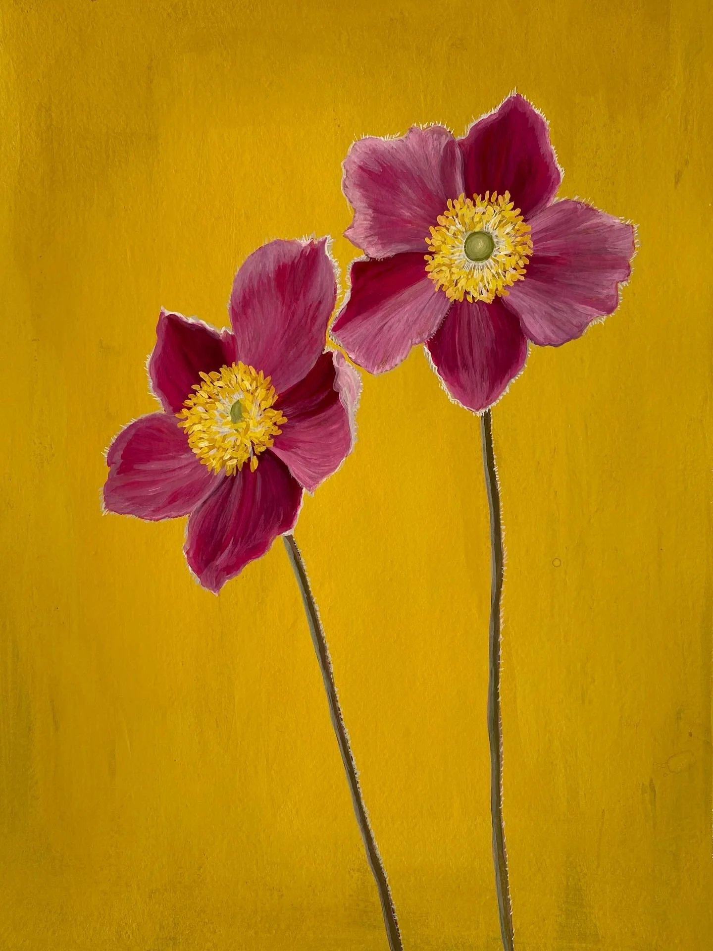 #japaneseanemone #finishingtouches