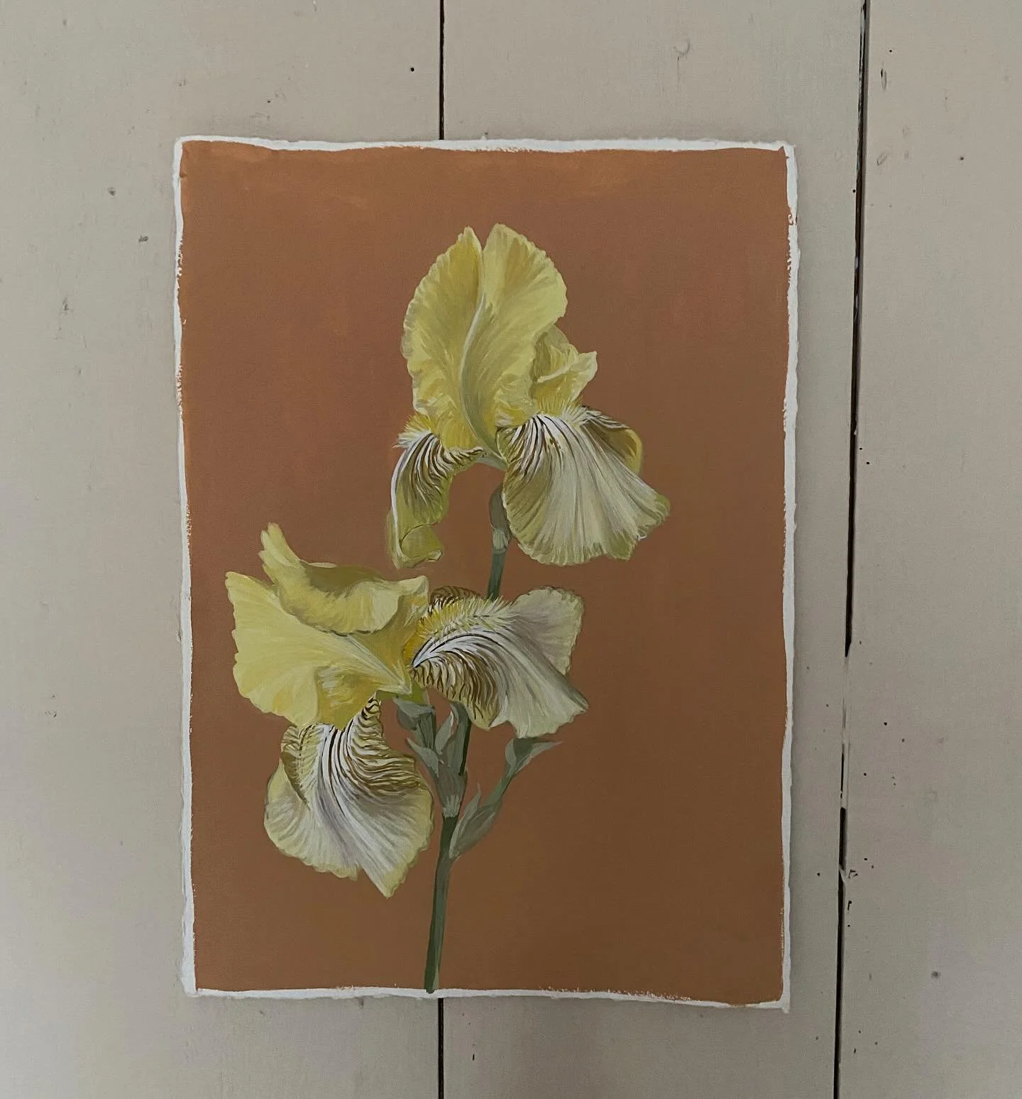 #finaltweaks #beardediris #irispainting