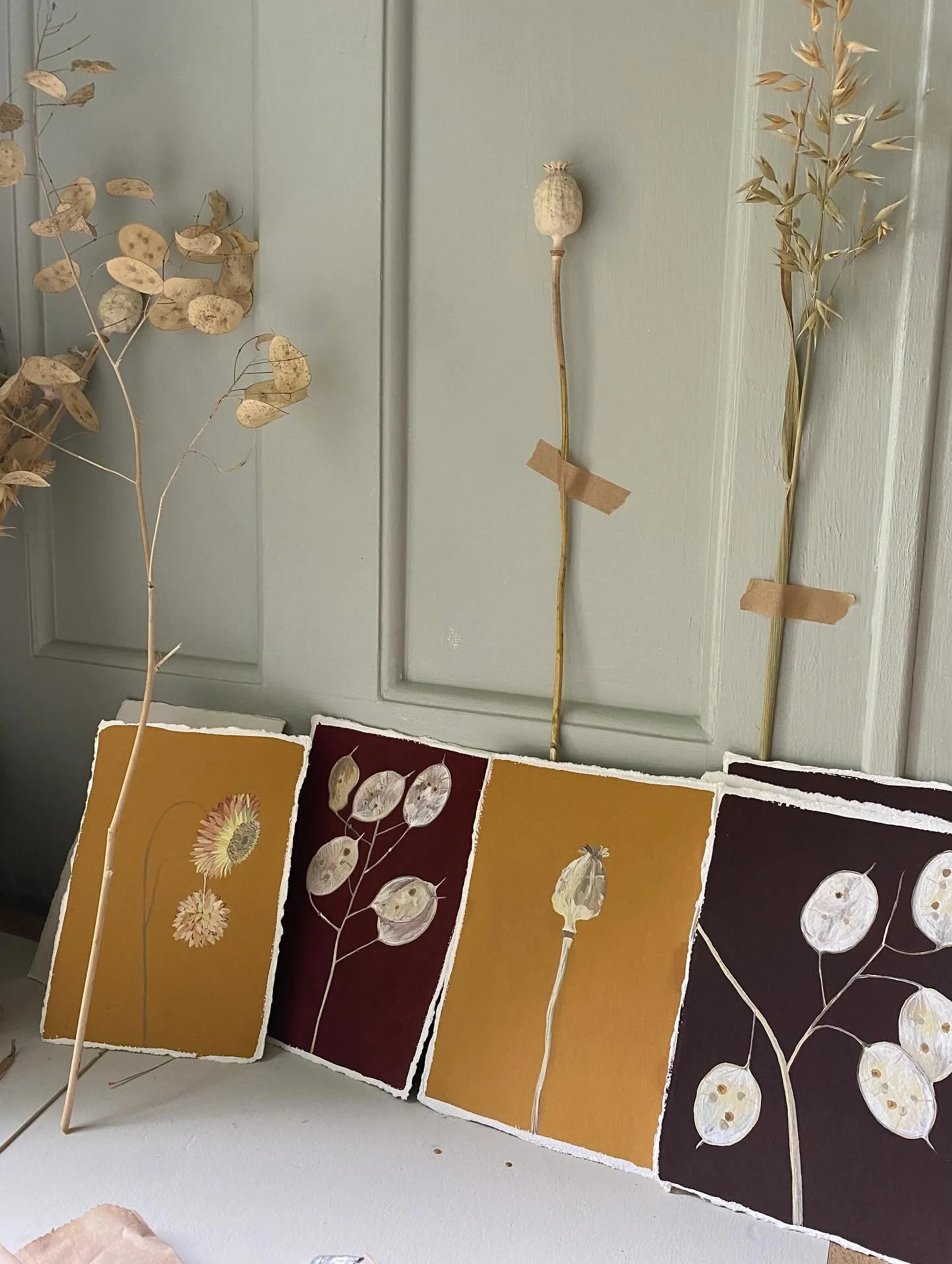 A little collection of dried flower studies is coming together. So enjoying painting these in my cosy garden studio.